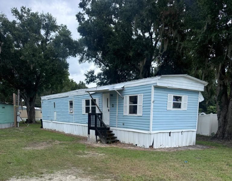 WhatsApp Image 2025-10-11 at 12.33.19 PM